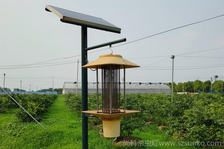 家禽养殖场使用太阳能杀虫灯图片
